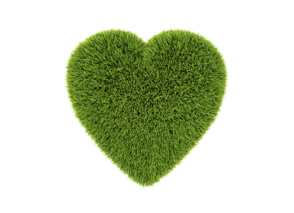 Imball_Green